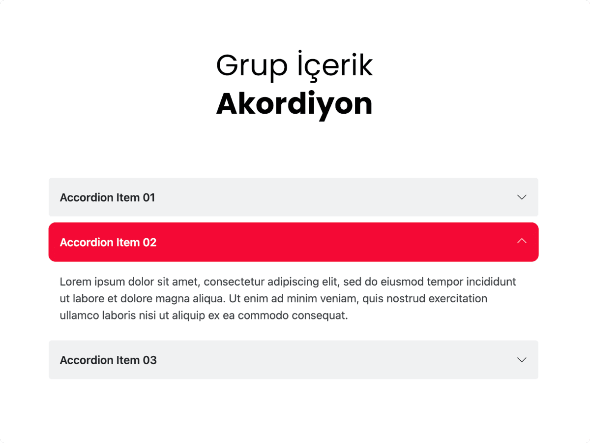 Grup İçerik Akordiyon 1600
