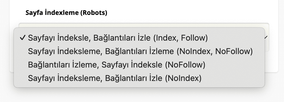 Sayfa indexleme robots meta tag seçenekleri