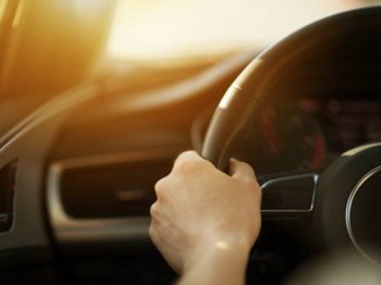 Elleçleme Handling Nedir?