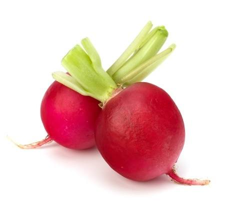 toptan kırmızı turp