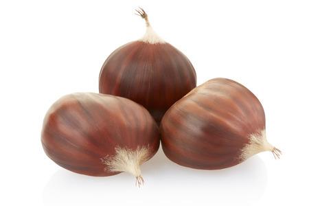 KESTANE