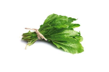 yaş sebze tere