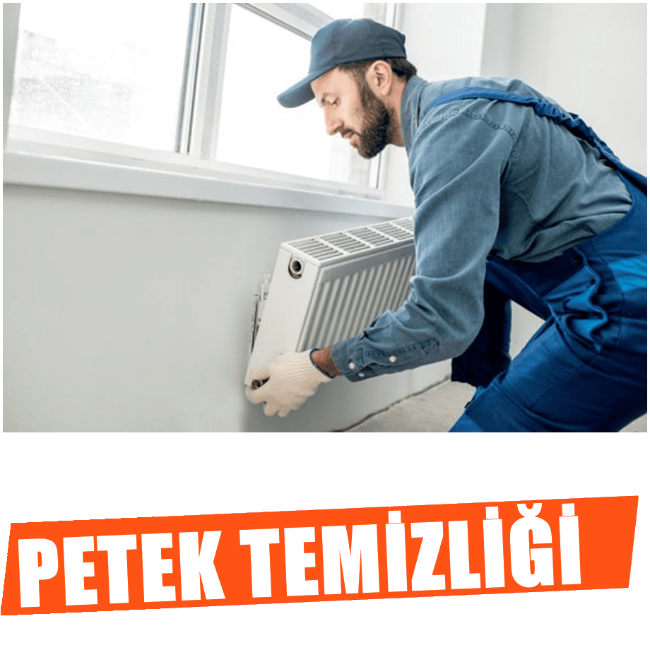petek-temizligi