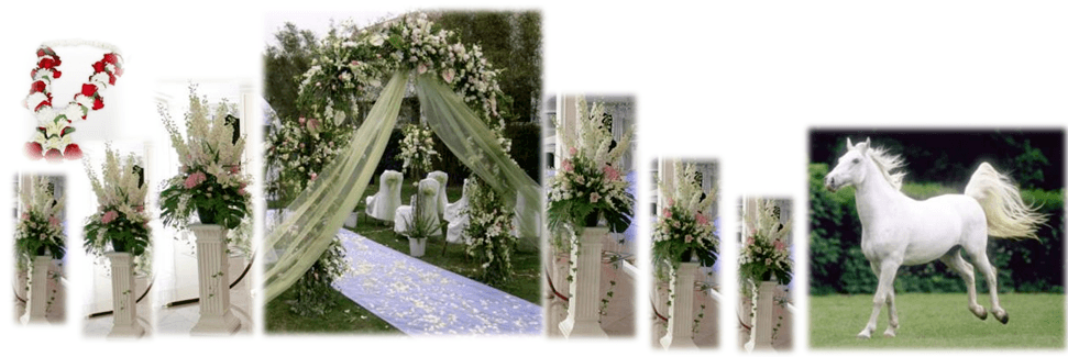 Indian Wedding Ceremonies