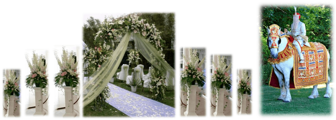 Baraat Ceremony in Istanbul Hilton Hotel