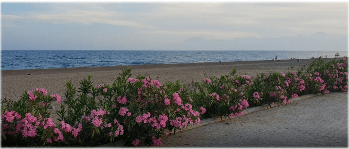 Beach wedding planner company in antalya
