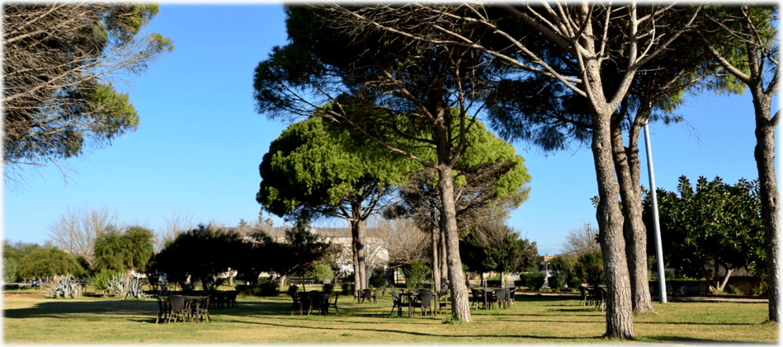 Rustic Wedding at Green Area in Turkey