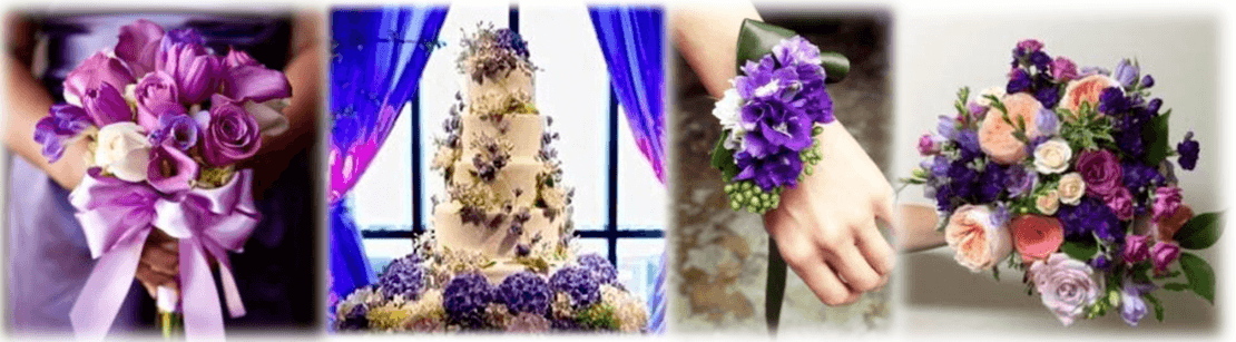 Indian Baraat Ceremony in Antalya