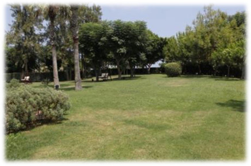 Wedding Venues in Antalya