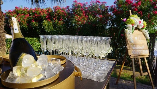 Hotel wedding planner in Antalya