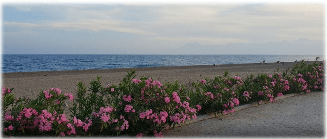 Persian Luxury Wedding in Antalya