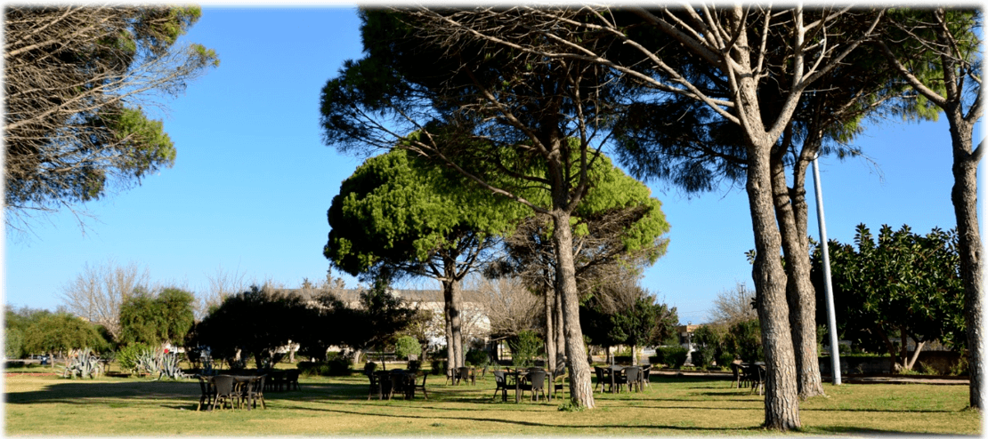 Luxury Iranian Wedding at Hotel in Antalya