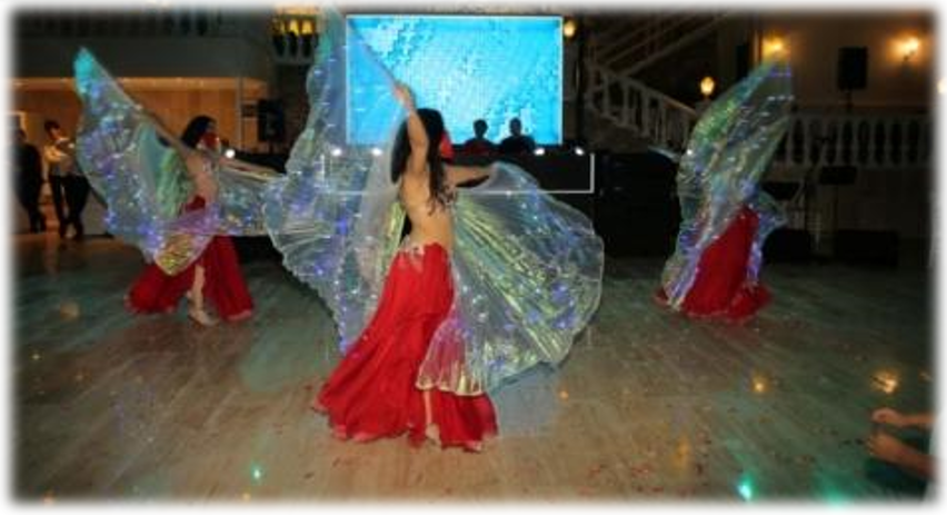 Persian Wedding Entertainment in Antalya