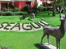 wedding in Seagull Hotel Kemer