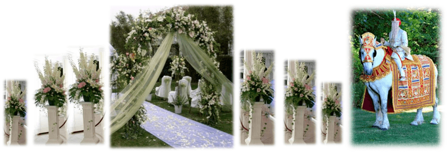 Indian Baraat Ceremony in Bodrum Turkey