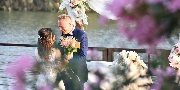 Civil Wedding Hotels in Turkey