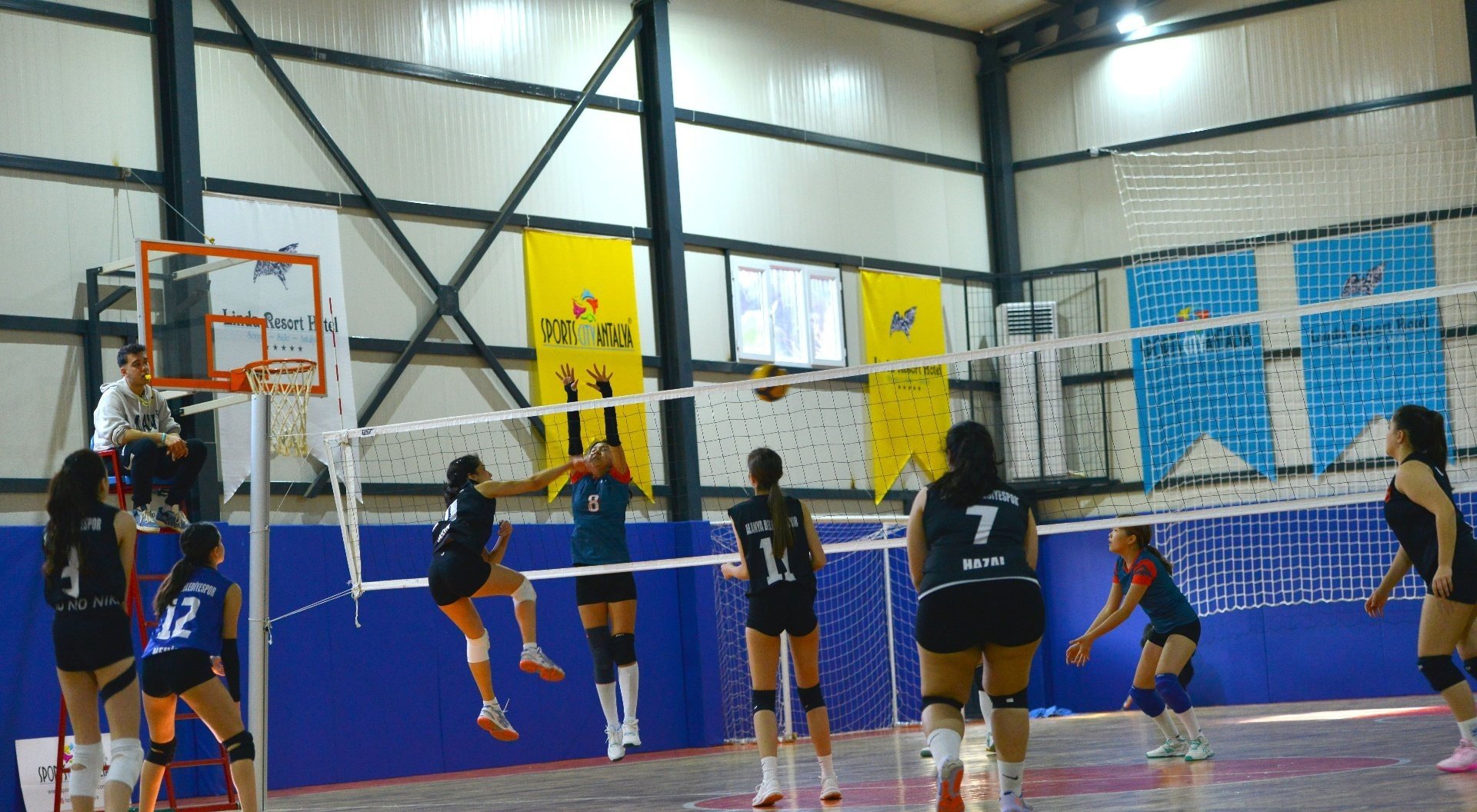 4-Cceb