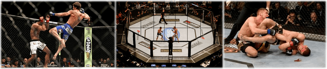 Лагерь бойцов ММА