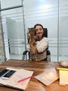 Ca36B4D7-Ec2D-4D0F-Bec6-96Fb128Eddd3