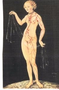 lenfödem hastalıkları ve tedavileri