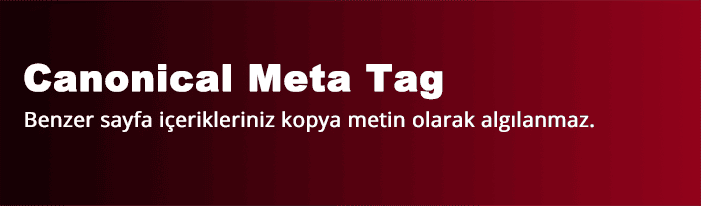 Canonical Meta Tag