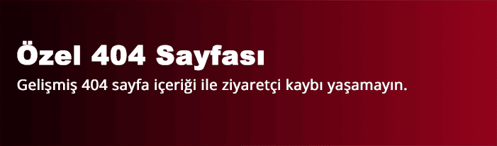 Özel 404 Sayfası