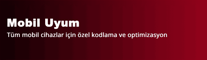 Mobil Uyum
