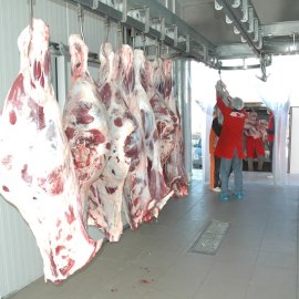 Parçalama & İşleme