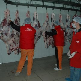 Parçalama & İşleme