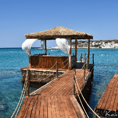 Ekran görüntüsü 2024-07-08 205746