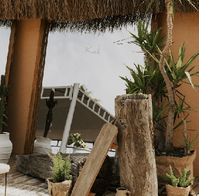 Ekran görüntüsü 2024-07-08 205647