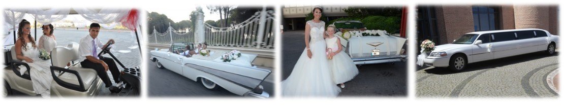 живые цветы