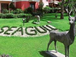 СвадебныеЦеремонии В ОтеляхНаБерегуМоряАнталии Кемер