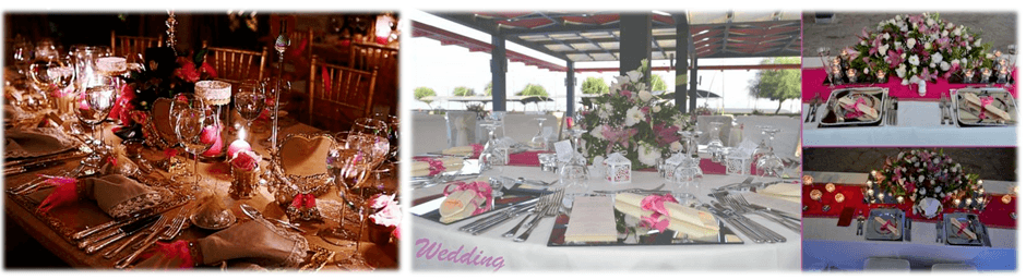 indian weddings in turkey 7