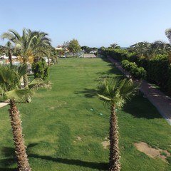 Hochzeitsplaner in der antalya