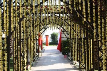 عروسی هندی در آنتالیا