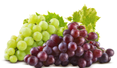 grape