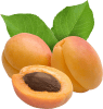 apricot