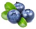 blueberries