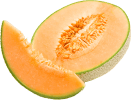 melon