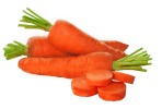 carrot
