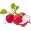 radish