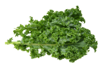 Kale leaves