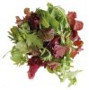 Mesclun salad