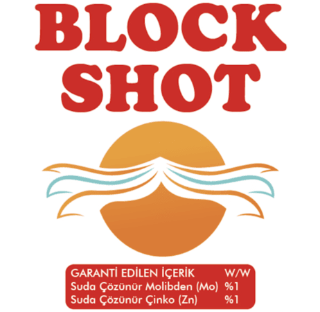 block shot