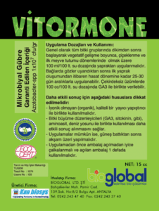 vitormoneplus-8782