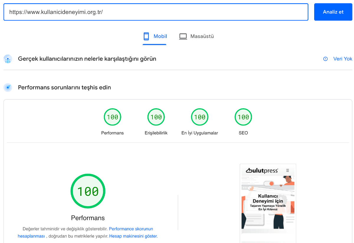 kullanıcı deneyimi pagespeed insights