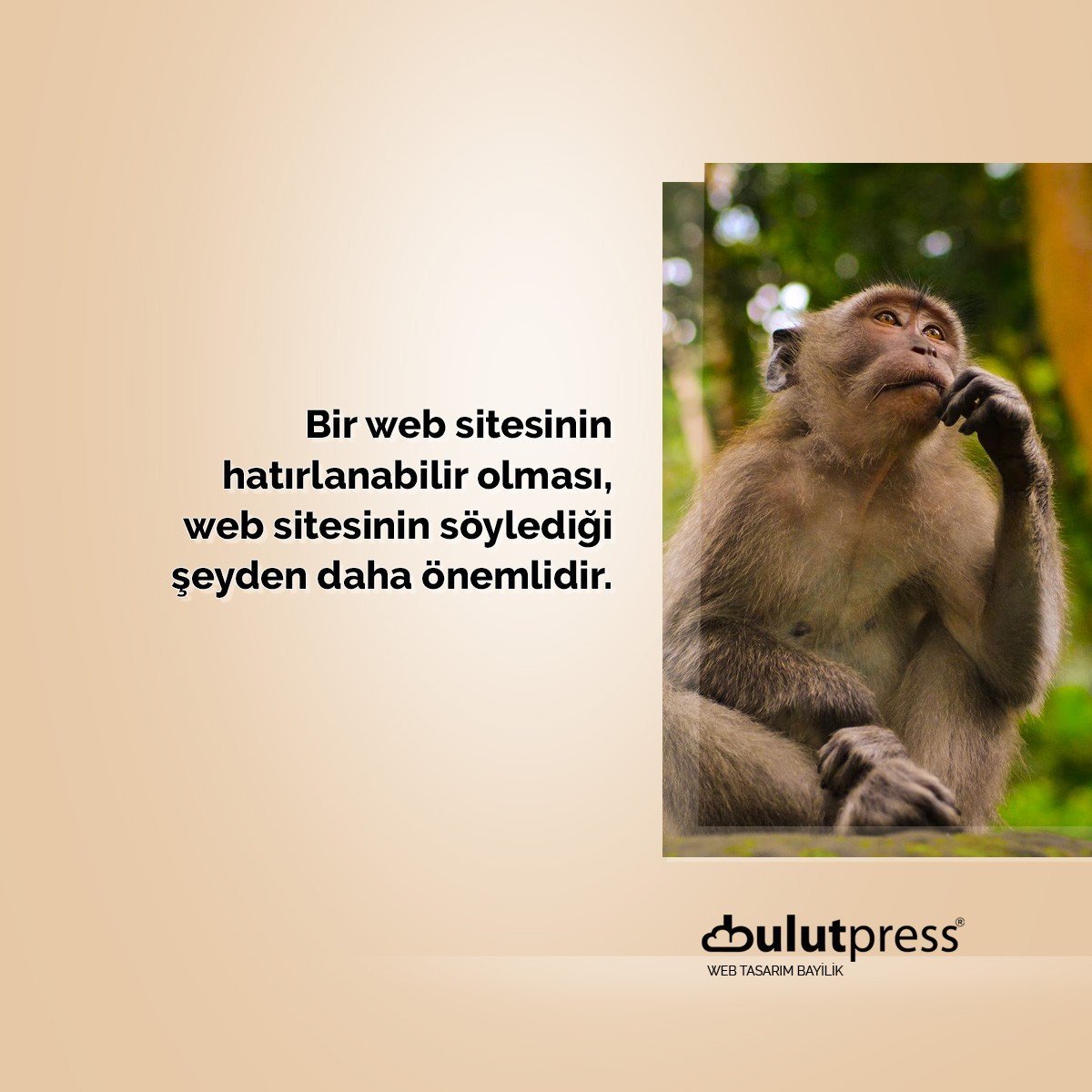 hatırlanabilir web tasarımı arayüzü