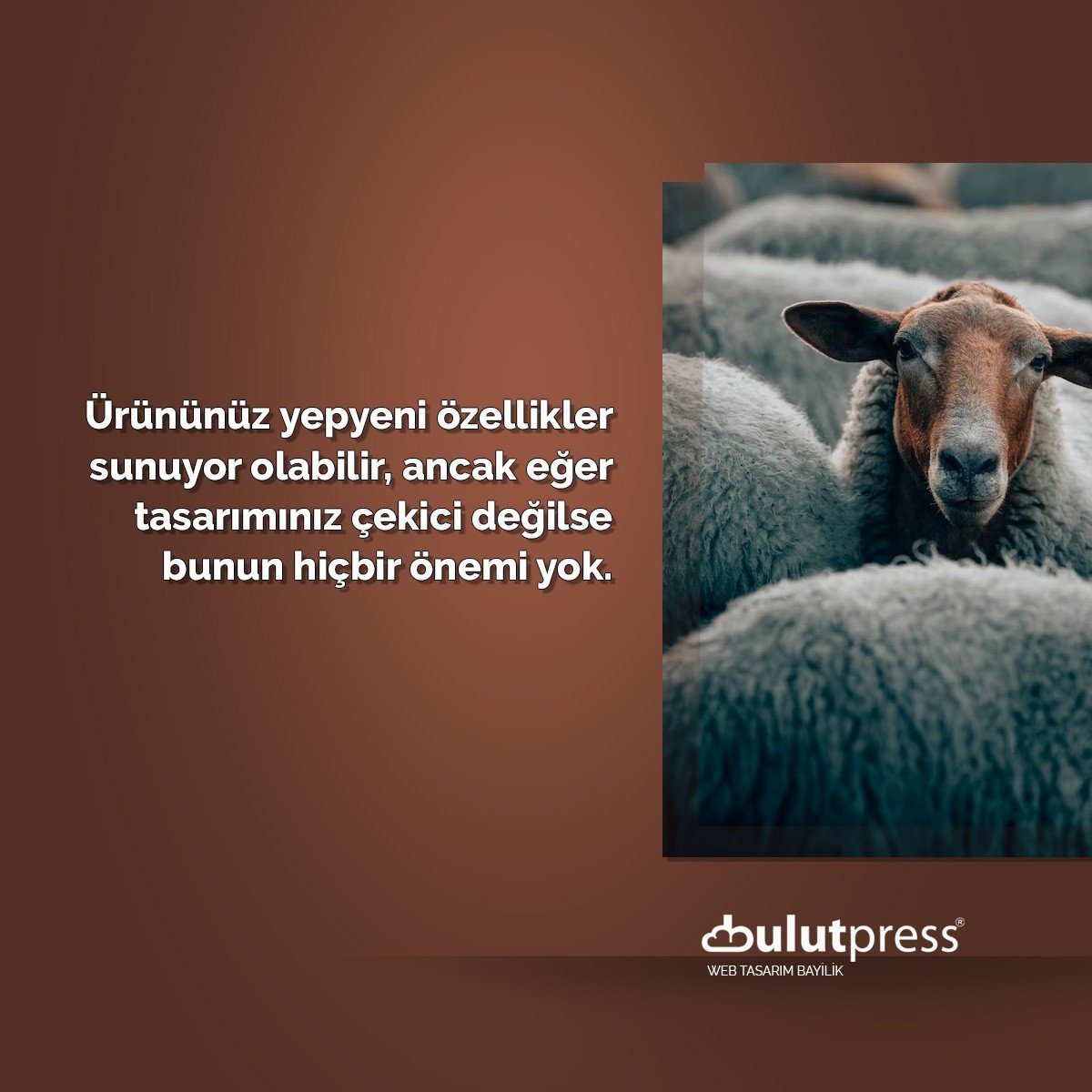ilgi çekici tasarım kullanıcı deneyimi