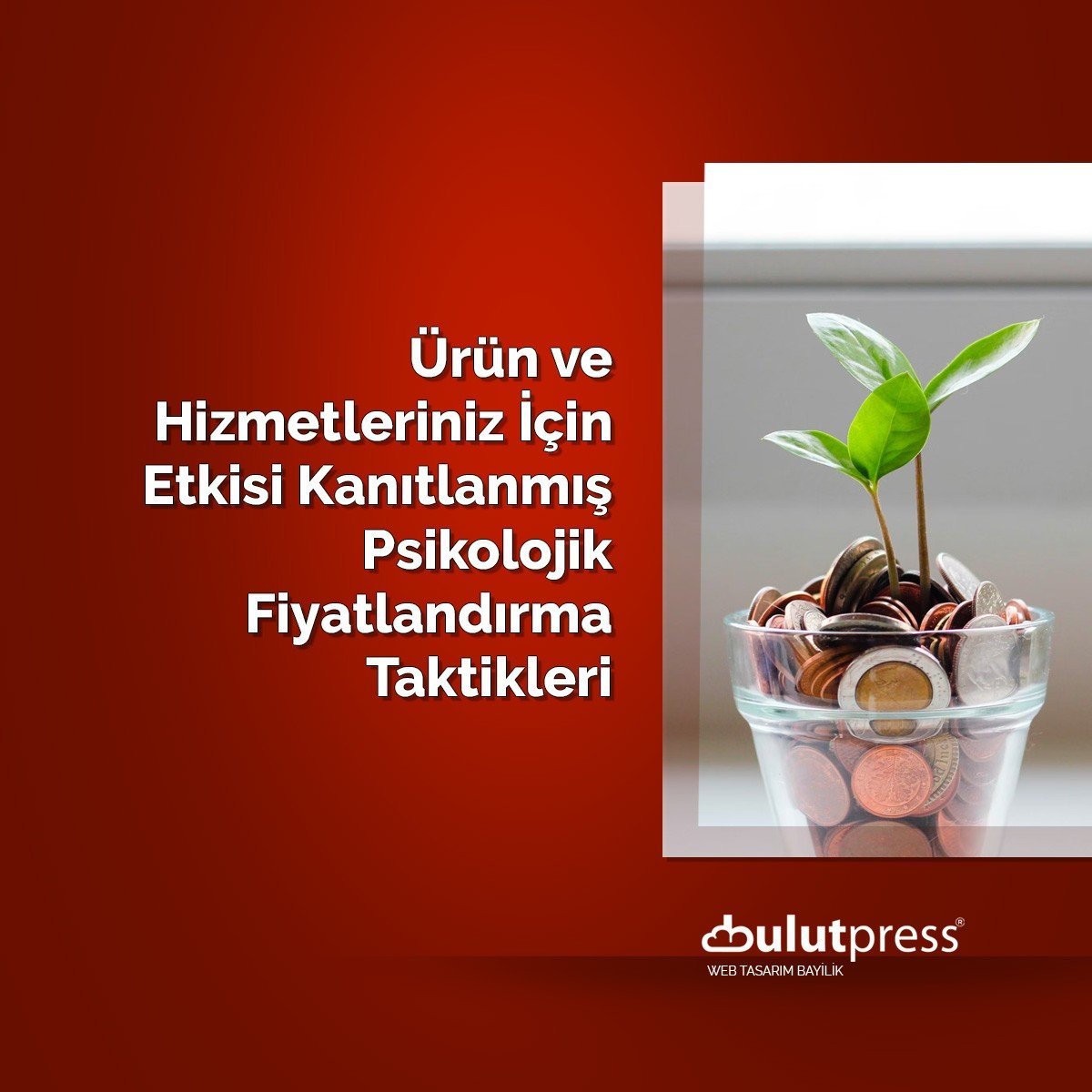 Ürün ve Hizmetleriniz İçin Etkisi Kanıtlanm